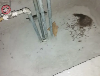 韩城卫生间测漏水价格明细