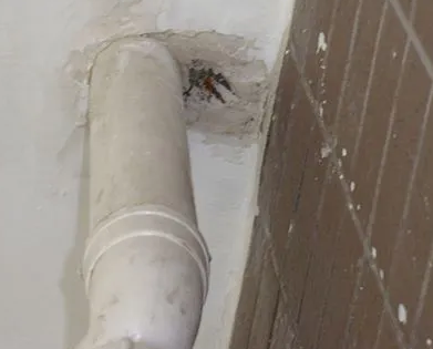 韩城漏水检测哪家好